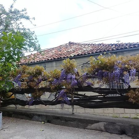 Tlt Guest House Telavi Exterior photo