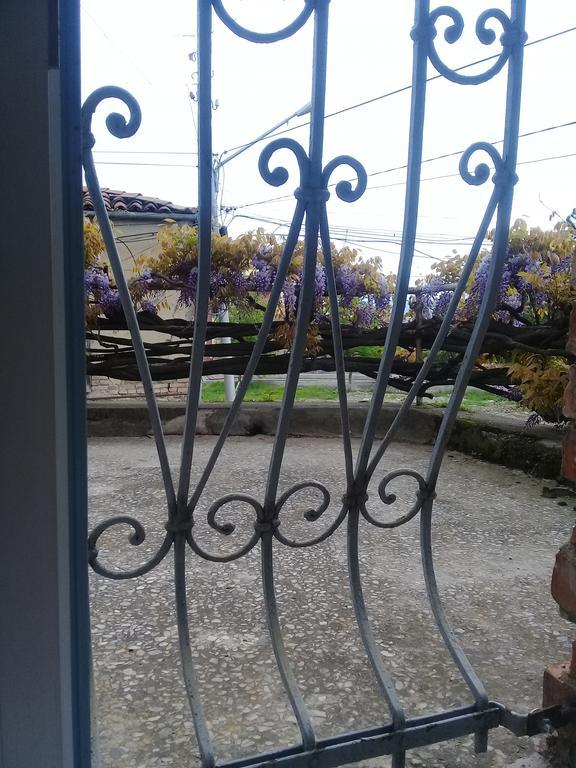 Tlt Guest House Telavi Exterior photo